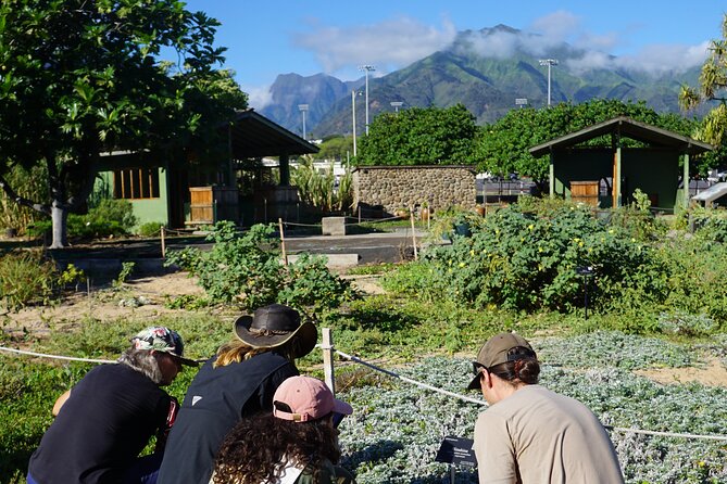 Private Botanical Garden Experience in the Heart of Maui - Experiencing the Serenity of the Gardens