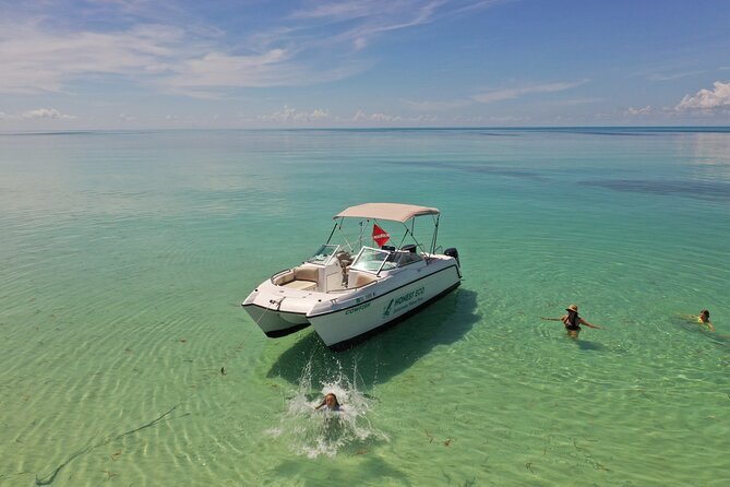 Private Charter 6 Passenger Sandbar, Snorkel, Dolphins - Tour Logistics