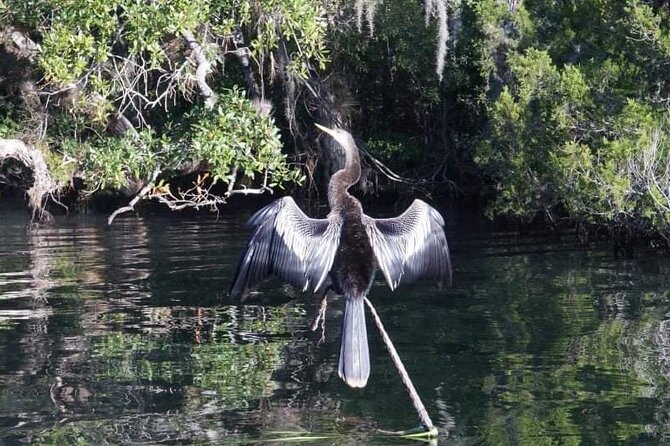 Private Chassahowitzka River Exploration Kayak Tour - Accessibility Features
