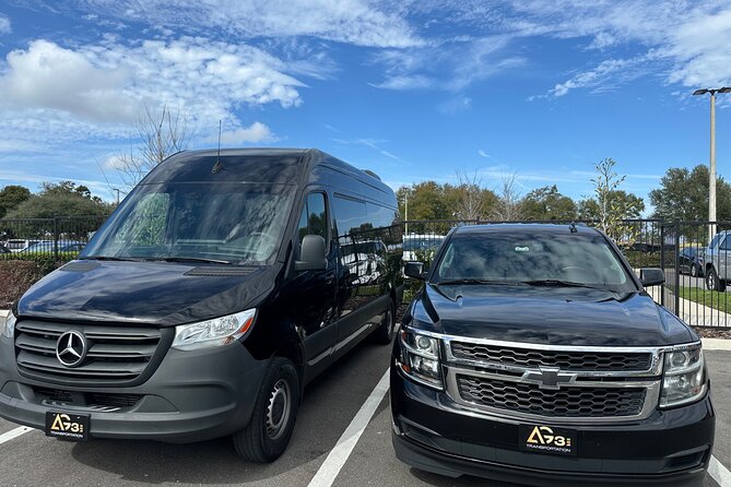 Private Chauffeur: MCO Airport to Hotels Review - Accessibility Features of the Transport Service