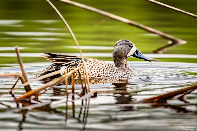 Private Full Day Photography Workshop of Fairbanks - Booking Details