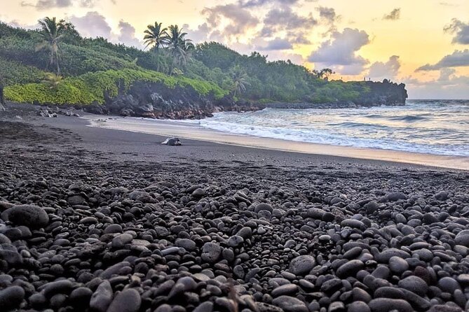 Private Luxury Hana Tour in 7 Passenger SUV - Participant Guidelines