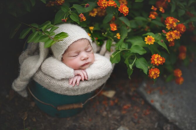 Private Newborn Posing and Photography Mentoring Session - Crafting Captivating Compositions
