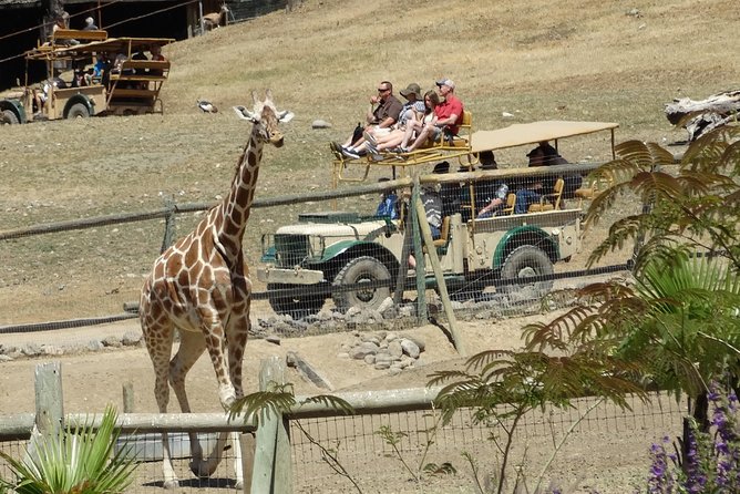 Private Tour of Sonoma Wild Safari Animal Park and Sonoma Redwoods - Booking and Cancellation