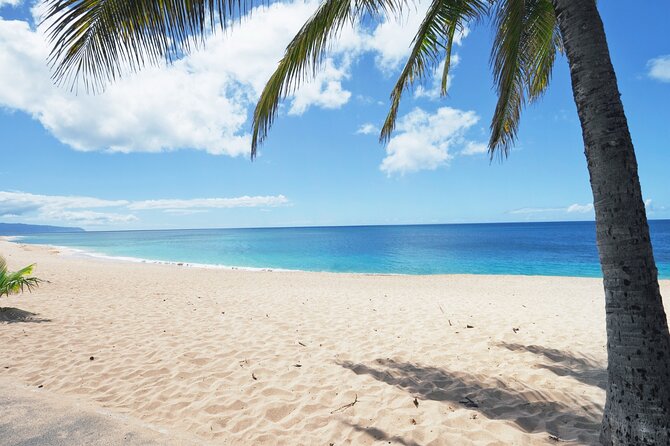 PRIVATE TOUR-Ultimate North Shore Experience - Transportation and Accessibility