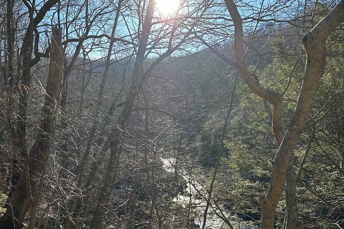 Private Trout Fishing Excursion in Virginia - Important Considerations