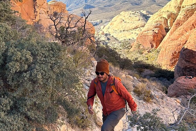 Red Rock Canyon Hiking Adventure Review - Guide to Health and Safety Measures