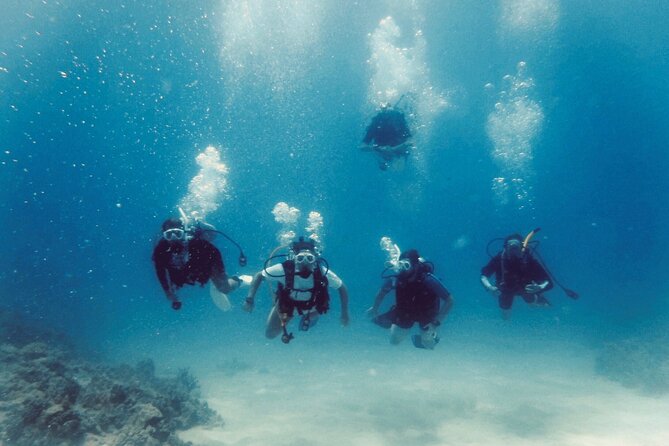 Refresher Scuba Dive - Preparing for the Refresher Dive