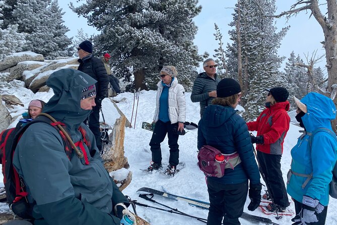 Self Guided Snowshoe Experience at Lake Tahoe - Meeting and Pickup Details