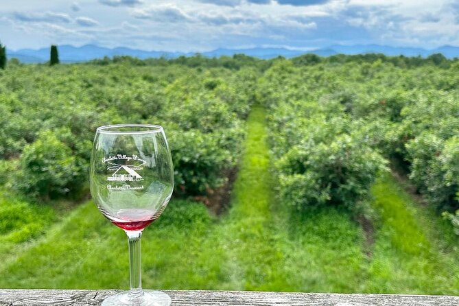 Small Group Wine & Cider Tour in Vermont - Tour Details