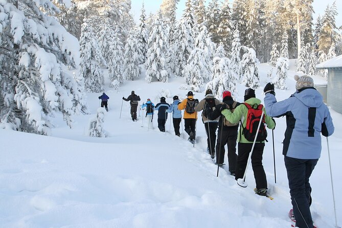 Snowshoe Tour in the Lake Tahoe Mountains - Essential Inclusions for a Memorable Adventure