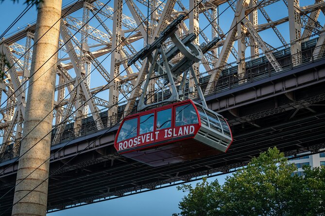 Spider-Man Filming Locations in New York Tour With Private Guide - Tour Requirements and Accessibility