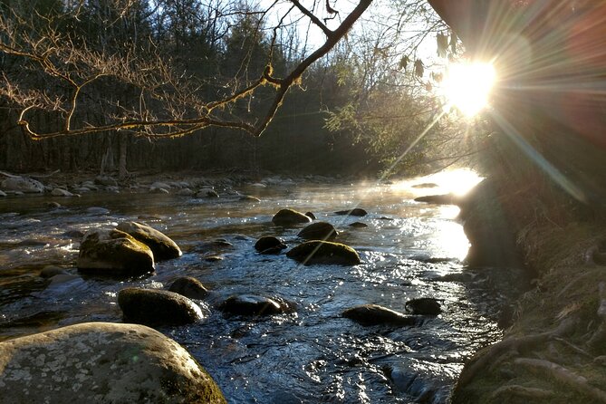 Stroll Back in Time Smokies History Streams and Forest Hike - Discovering the Hidden Gems of Porters Creek Trail