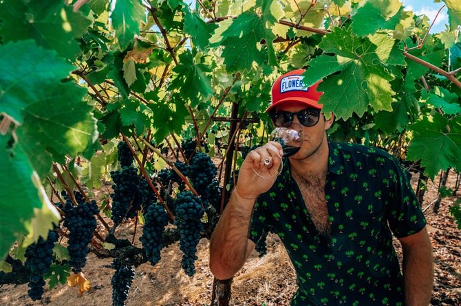 The Ultimate Wine Country Experience (Private & All-Inclusive) - Accessibility and Participation
