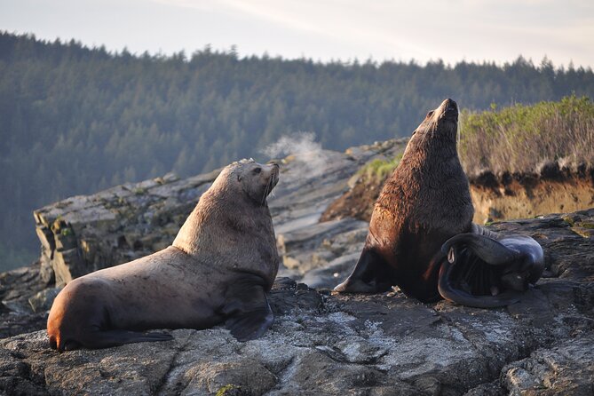 Whale Watching + Deception Pass Tour Review - Inclusions and Amenities Offered