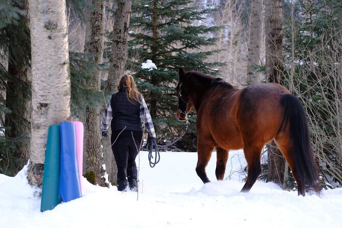 Yoga With Horses Review: a Unique Experience - Alternatives to Yoga With Horses in Skagway