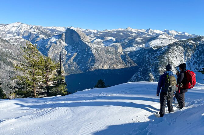 Yosemite Winter Wonderland Guided Hiking or Snowshoeing - Insider Tips From Local Guides