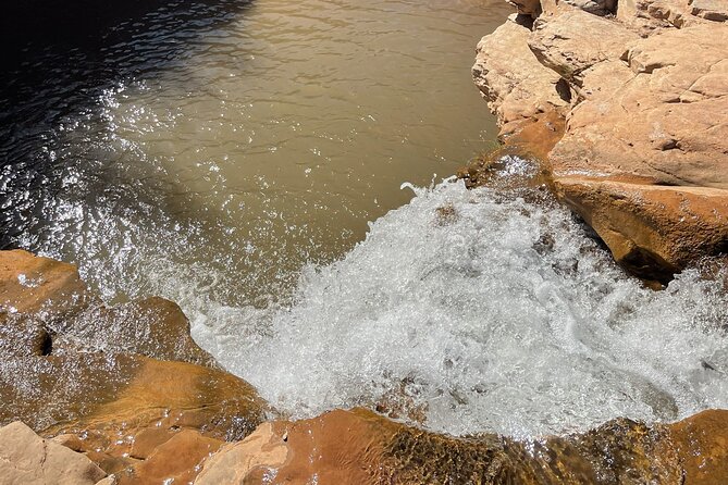 Zion Hummer Tour to Zion Waterfall With Swimming - Meeting and Pickup