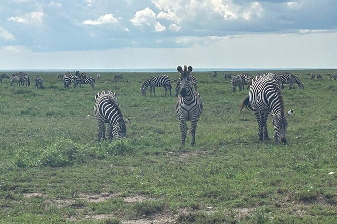 4 Days Tanzania Northen Circuit Adventure