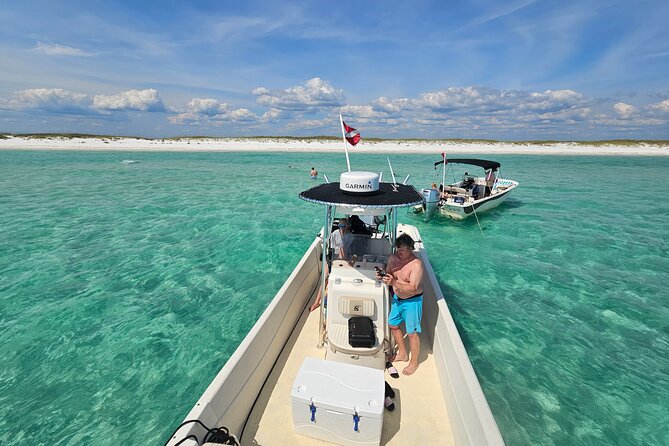 4 Hour Eco Dolphin Tour in Panama Review - About Your Stay
