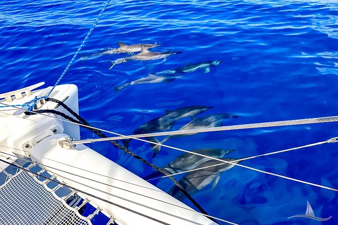 3hr Luxury Private Sailing Catamaran in Waikiki for 1 to 6 People - Health and Accessibility Considerations