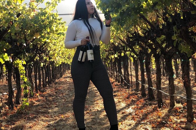 8 Hours 12 Passengers Limo Bus for Napa or Sonoma Wine Tour - Schedule