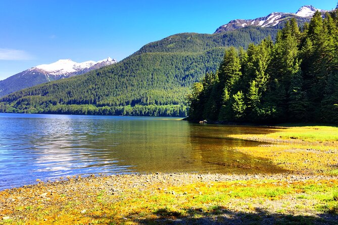 Alaska Bears and Silver Bay Homestead Review - Refreshments and Amenities Offered