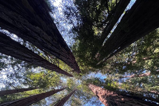 Alcatraz Night Tour & Muir Woods-Sausalito Afternoon or Morning - Inclusions and What to Expect