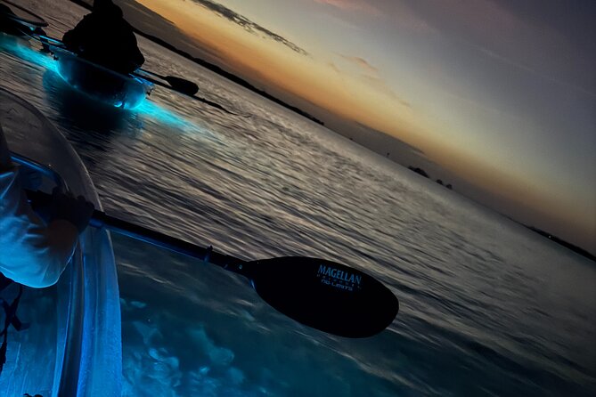 Crystal River Sunset and Glow Kayak Tour Review - Safety Measures and Participant Requirements
