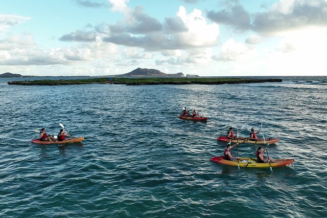 Discover Popoia Island Kayak Tour Review - Lunch on the Tour: Tacos and Shave Ice Review