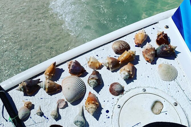 Dolphin and Shelling Cruise Tour Review - Insights From Tour Participant Reviews