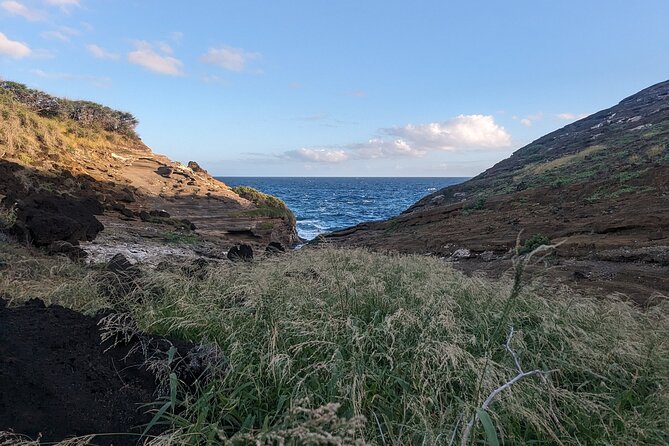 East Honolulu and Windward Island Specialty Tour Review - Accessibility and Traveler Information