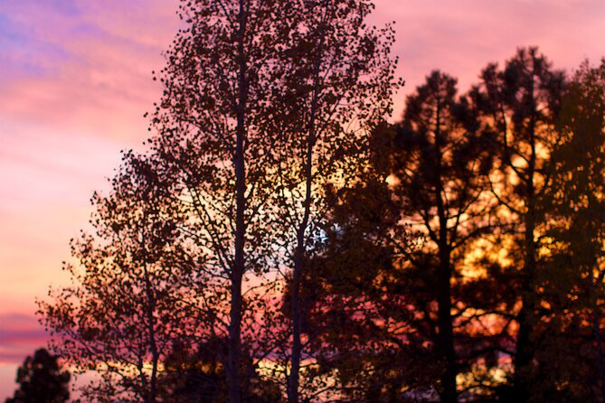 Forest Bathing and Meditation on Mt Lemmon - Preparing for Your Adventure