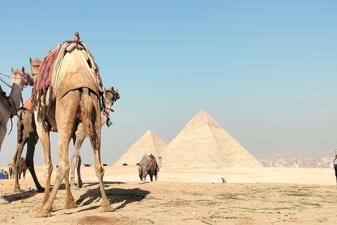 Giza Pyramids Day Tour Review - A Visit to Sakkara and the Step Pyramid