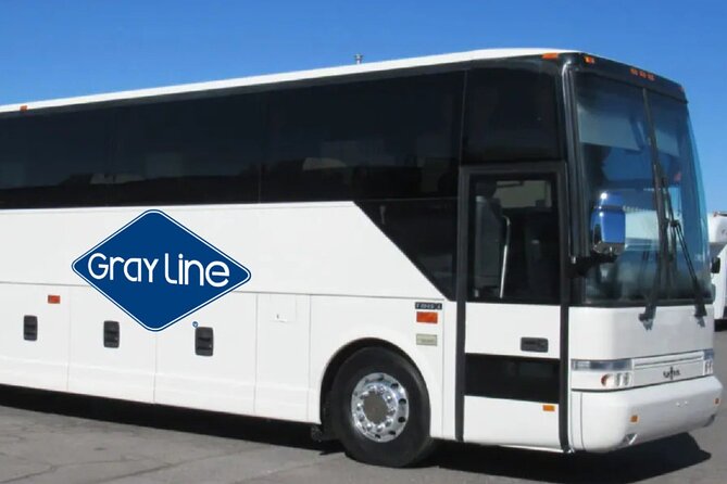 Gray Line NY Sightseeing Flex Pass to Moma and 120+ Options - Accessibility Features of the Pass