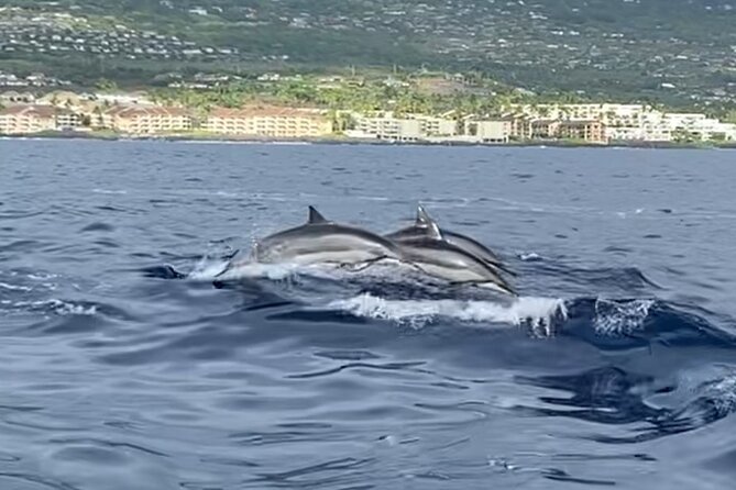 Half Day Private Cruise Tour With Snorkeling Review - Analysis of Customer Reviews