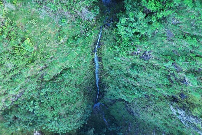 Hawaii Oahu Canyon Rappel & Hike Expedition Tour - Health Considerations