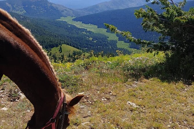 High Mountain Scenic Trail Rides in the Teton Range - Booking Information