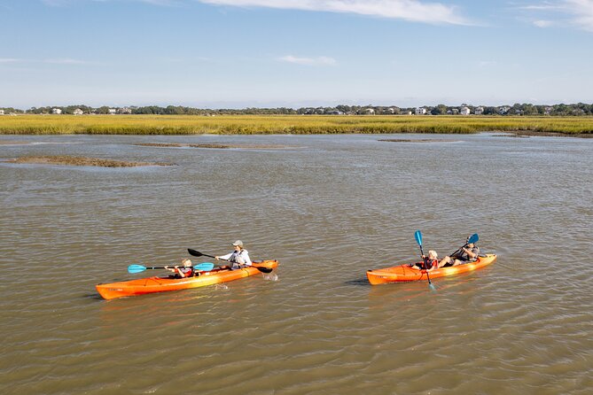 Kayak Activity and Sightseeing in Dolphin Safari Review - Tips for First-Time Kayakers in Folly Beach