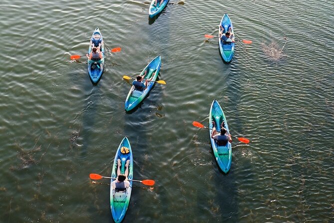 Kayak Rentals on Lady Bird Lake Review - The Kayaking Experience: Routes and Scenery