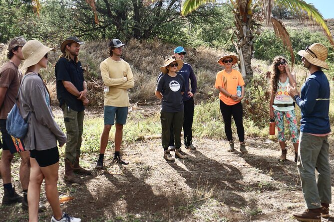 Maui Native Reforestation Experience Review - Health and Safety Measures