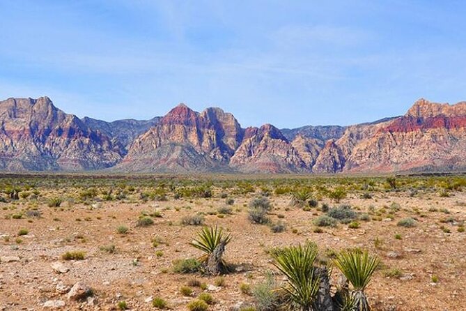 Mojave Desert Walking Trip Review - Exploring the Seven Magic Mountains