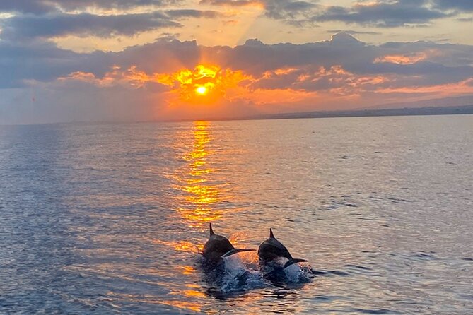 Moonlight & Music Sunset Cruise (BYOB) - Booking and Cancellation Information
