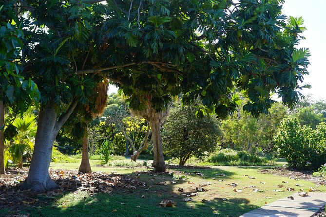 Private Botanical Garden Experience in the Heart of Maui - Frequently Asked Questions