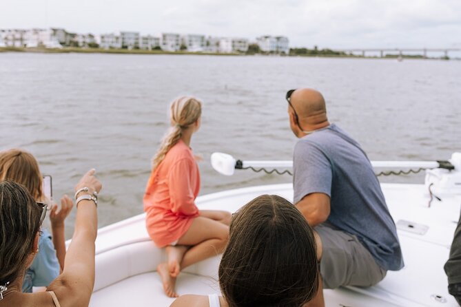 Private Charleston Dolphin Tour - Dolphin Viewing Experience