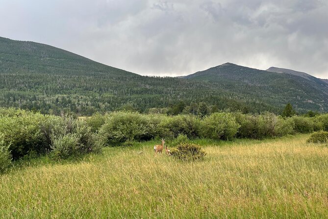 Private Colorado Springs City Tour From Denver - What to Expect on the Tour