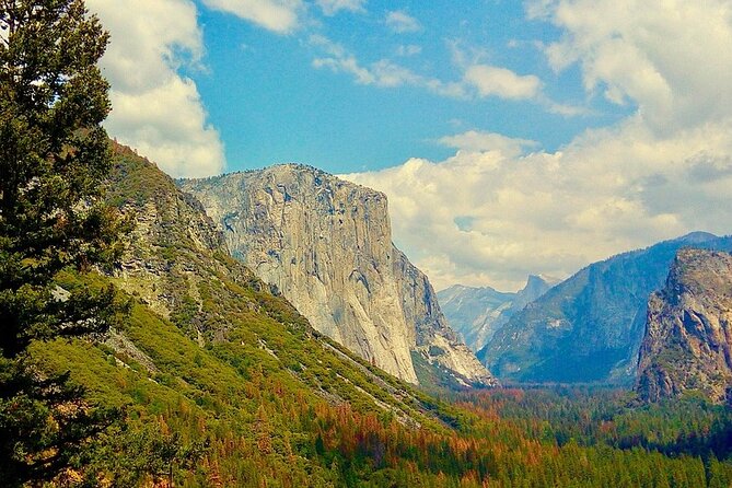 Private Day Tour to Yosemite National Park - Pricing and Cancellation