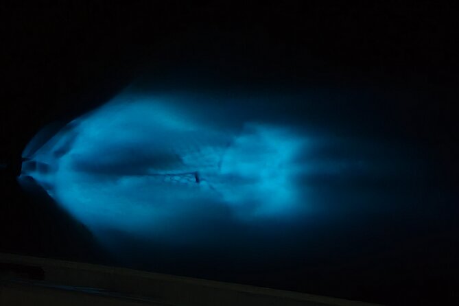 Private Sunset and Bioluminescence Tours in Cocoa Beach - Frequently Asked Questions