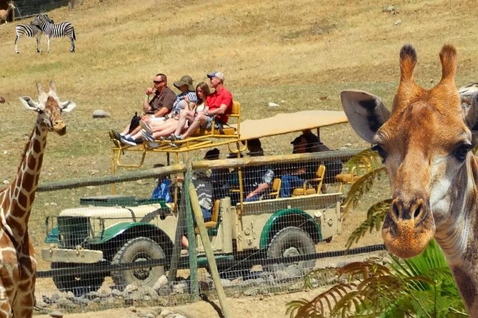 Private Tour of Sonoma Wild Safari Animal Park and Sonoma Redwoods - Accessibility and Safety