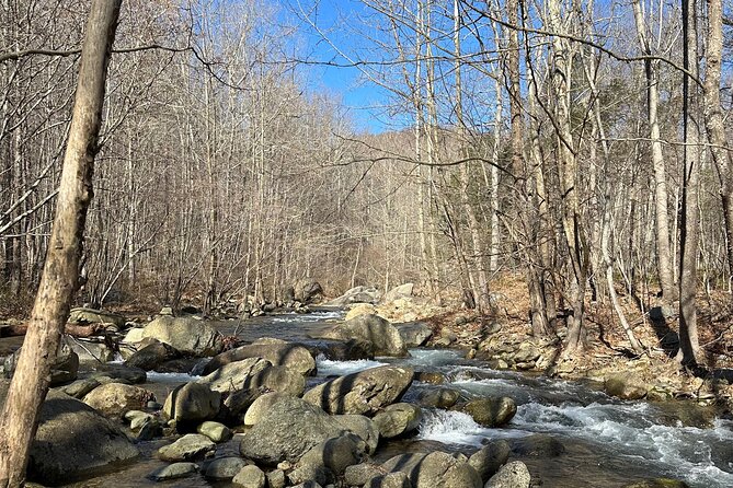 Private Trout Fishing Excursion in Virginia - How to Book Your Experience